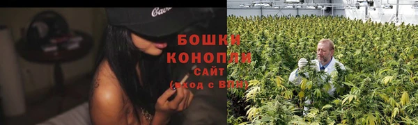 ПСИЛОЦИБИНОВЫЕ ГРИБЫ Бородино