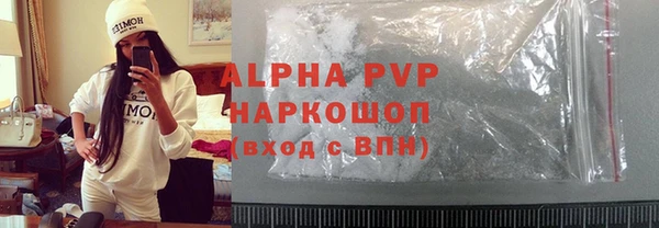 ПСИЛОЦИБИНОВЫЕ ГРИБЫ Бородино