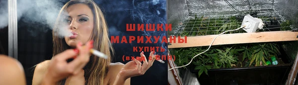 гидропоника Бугульма