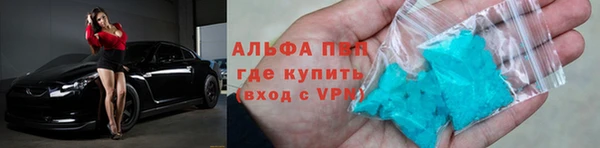 ПСИЛОЦИБИНОВЫЕ ГРИБЫ Бородино