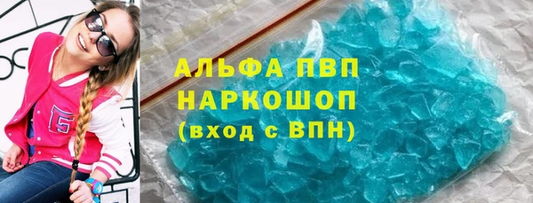 ПСИЛОЦИБИНОВЫЕ ГРИБЫ Бородино